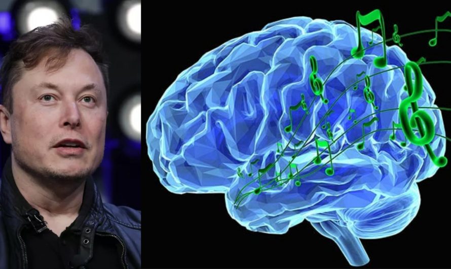 Elon Music Claims Neuralink Chip Allows Music Streaming Directly to Brain