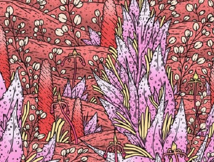 Baribal Drops Lush And Funky Track ‘Micro Flora’