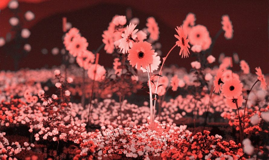 PREMIERE: Floret Loret Embraces Darkness With ‘Prosper’ EP