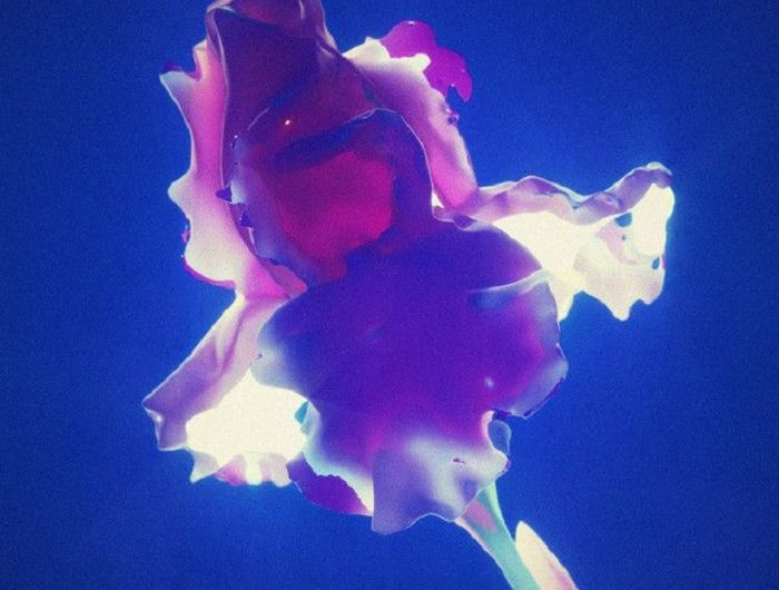 BONSAI Drops Magnificent Third Compilation ‘IRIS’