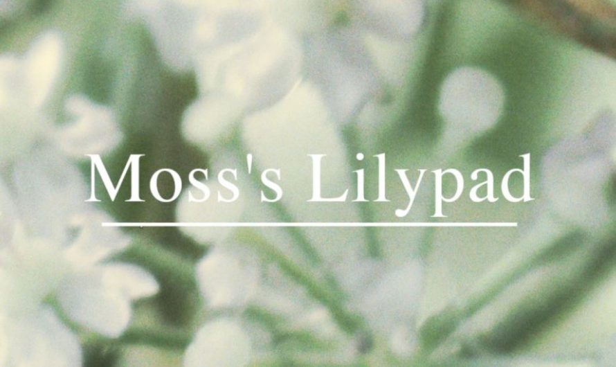 Thorjn Displays Glitchy Ingenuity In ‘Moss’s Lilypad’