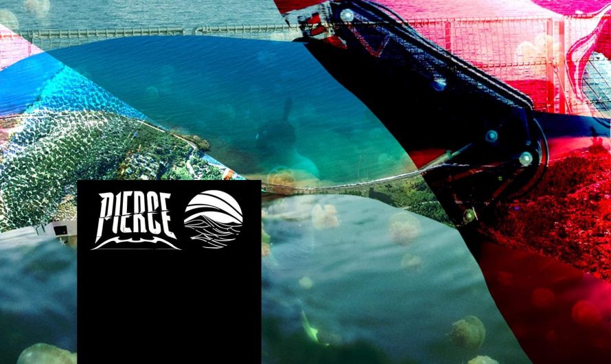 PIERCE Dives Into The ‘Deep Blue’
