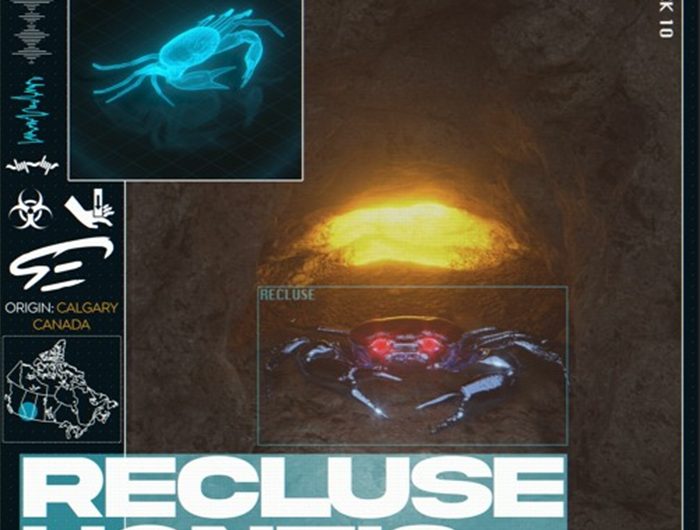 Hontis Creeps From The Shadows On ‘Recluse’