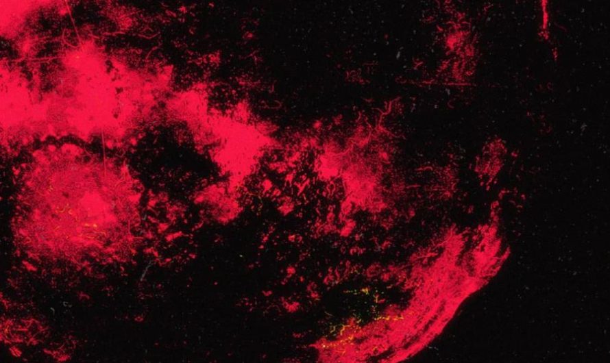 Ankou Sets Fire To Your Speakers With ‘Ember’