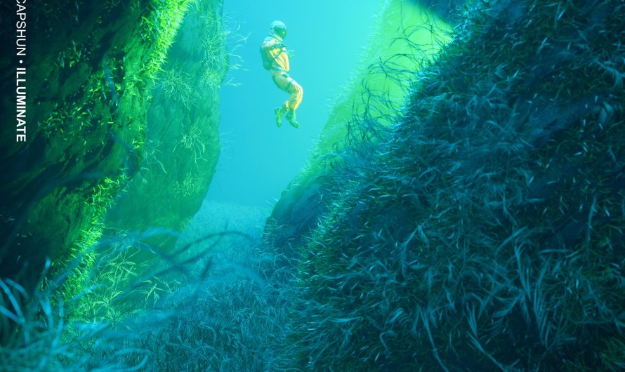 PREMIERE: Explore Houndtrack & capshun’s Underwater Odyssey ‘Illuminate’