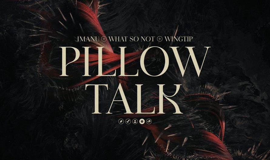IMANU, Wingtip, and, What So Not Team up for "Pillow Talk"